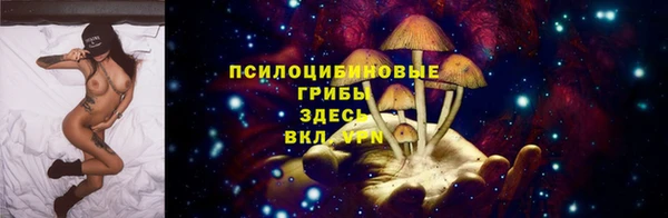 PSILOCYBIN Зеленокумск