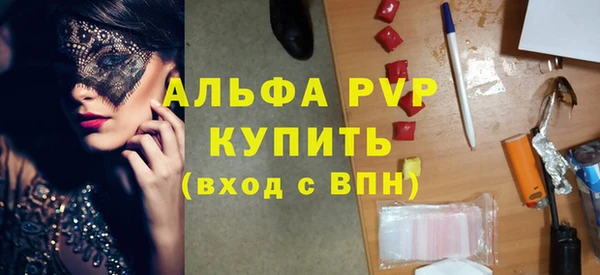 дурь Инта